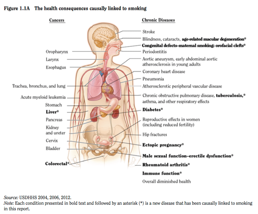 Screen Shot 2018-10-01 at 10.41.14 AM